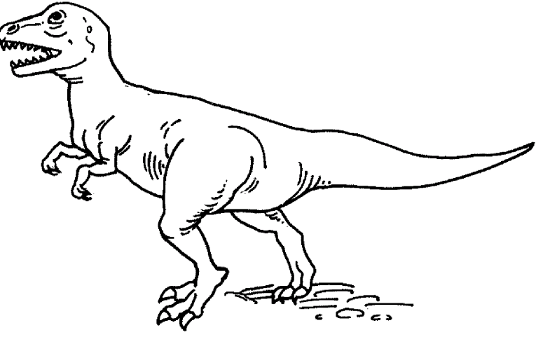 Dinozauri 18 Planse De Colorat Ro
